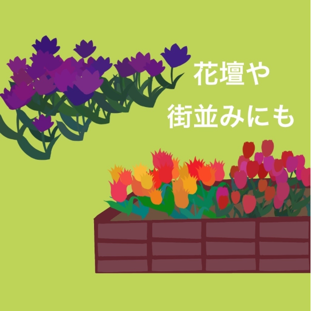 图片[3]-Procreate郁金香田笔刷套装 20种花卉与场景创作数字工具-25虚拟网