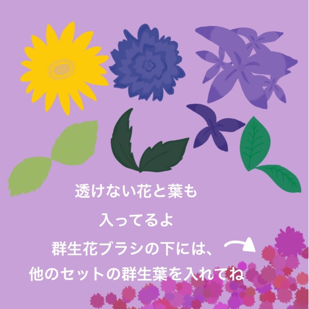 图片[3]-Procreate蝴蝶与花笔刷套装 23种自然元素创作数字工具-25虚拟网