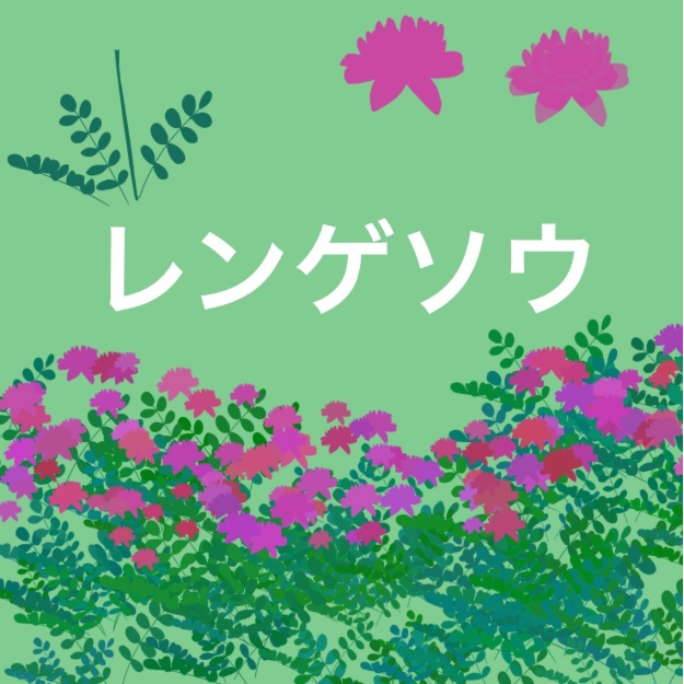 图片[5]-Procreate花海笔刷套装 20种花卉群与图章创作数字工具-25虚拟网