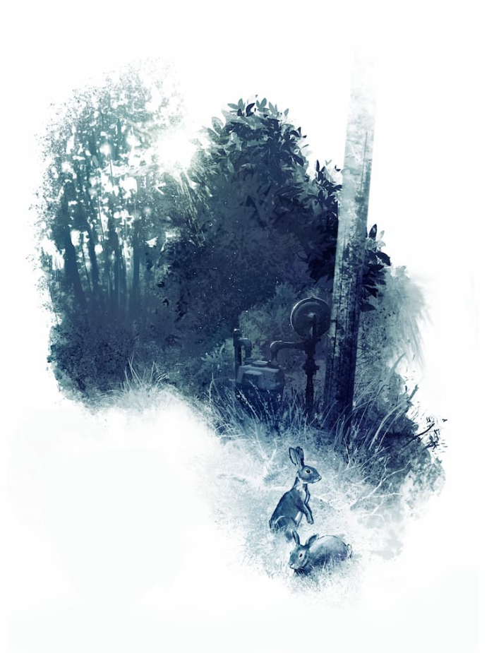 图片[2]-Procreate植物群笔刷套装 植被印章与自然元素创作数字工具-25虚拟网