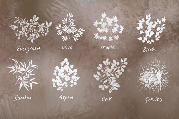 图片[4]-Procreate自然工作室笔刷套装 多类自然元素与场景创作数字工具-25虚拟网