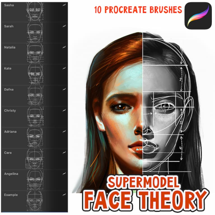Procreate 人像超模脸型模特辅助线笔刷 写实风格面部结构与名人脸型参考创作数字工具-25虚拟网