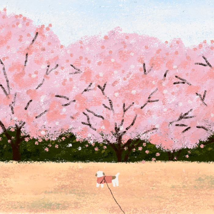 图片[9]-Procreate油画棒笔刷创作 含4种纹理及手绘制作细节-25虚拟网