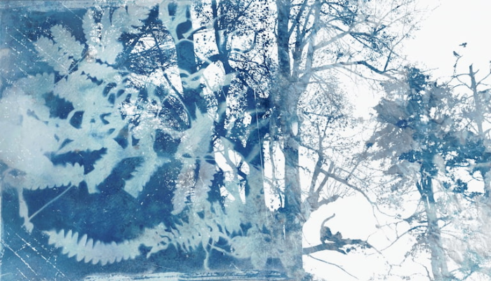 图片[5]-战斗田田仔：从插画到Procreate笔刷 跨媒介创作的自由插画师之路-25虚拟网