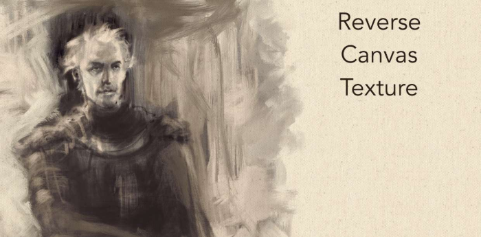 图片[6]-20款Procreate纹理纸张与画布 数字绘画质感提升工具包-25虚拟网