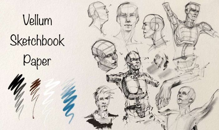 图片[16]-20款Procreate纹理纸张与画布 数字绘画质感提升工具包-25虚拟网