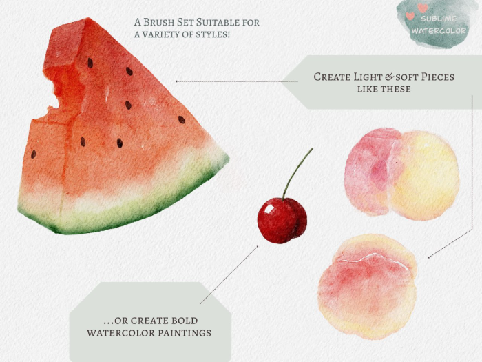 图片[13]-Procreate 卓越水彩笔刷套装 写实风格逼真水彩效果与多元创作数字工具-25虚拟网