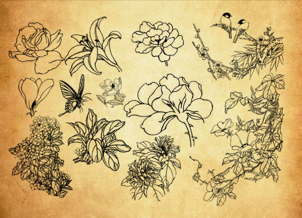 中国传统古典线描花朵花枝PS笔刷 - 高效中国传统古典线描花朵花枝设计工具，节省80%手动绘制时间-25虚拟网