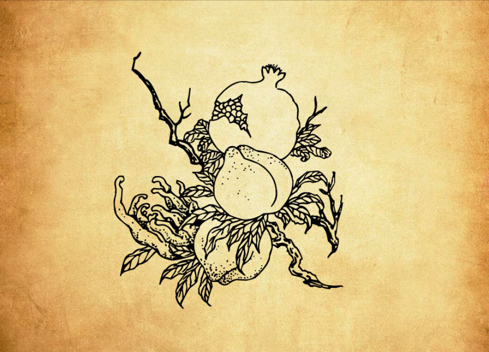 专业中国传统寿桃图案PS笔刷 – 包含高品质中国传统寿桃图案样式，兼容Photoshop全版本-25虚拟网