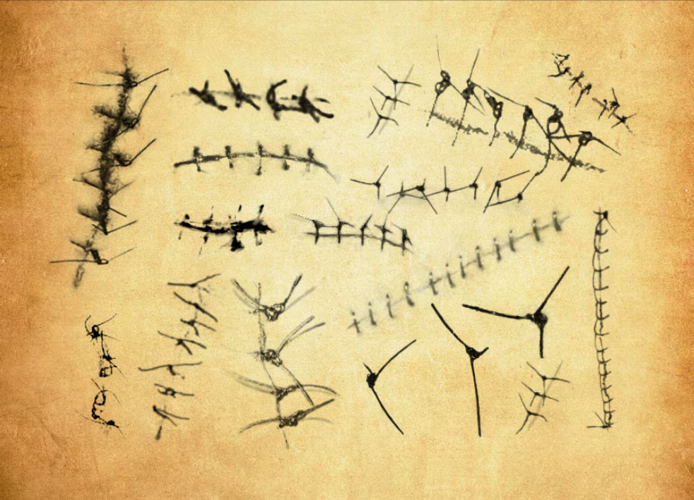 伤口缝合和伤疤效果PS笔刷 – 高效伤口缝合和伤疤效果设计工具，节省80%手动绘制时间-25虚拟网