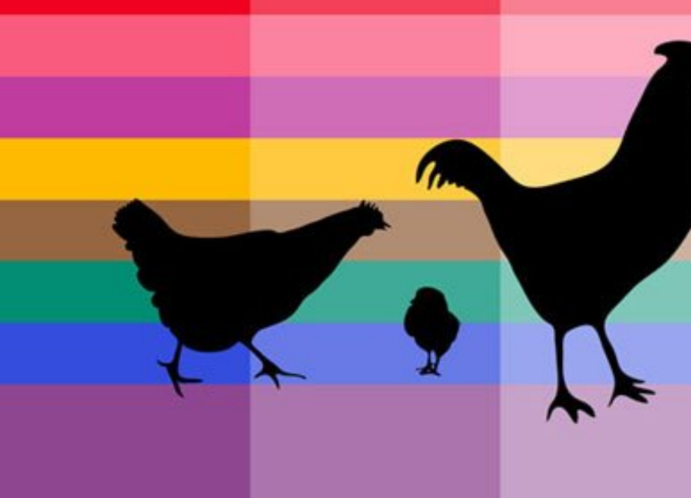 时尚对称花纹装饰PS笔刷 - 精美时尚对称花纹装饰装饰元素，提升设计作品视觉吸引力-25虚拟网