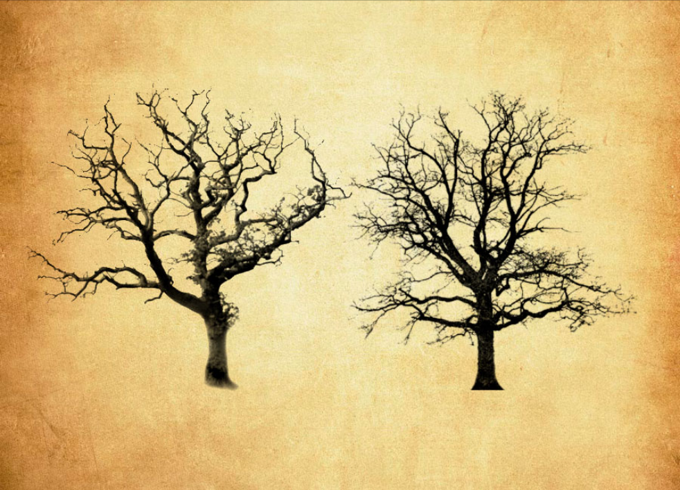 精选冬季枯树PS笔刷 - 高品质冬季枯树资源，提升设计专业度-25虚拟网