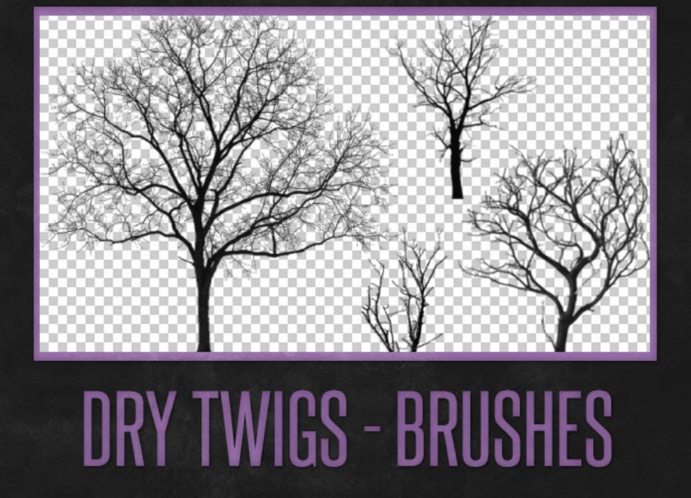 精选冬季枯树树枝PS笔刷V2 - 高品质冬季枯树树枝V2资源，提升设计专业度-25虚拟网