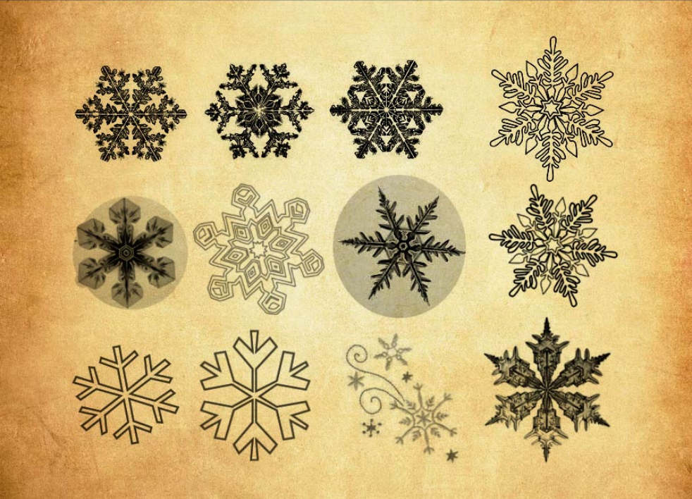 冬季雪花形状和图形PS笔刷 - 高效冬季雪花形状和图形设计工具，节省80%手动绘制时间-25虚拟网