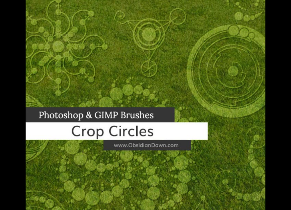 创意的植物怪圈PS笔刷 - 高效创意的植物怪圈设计工具，节省80%手动绘制时间-25虚拟网