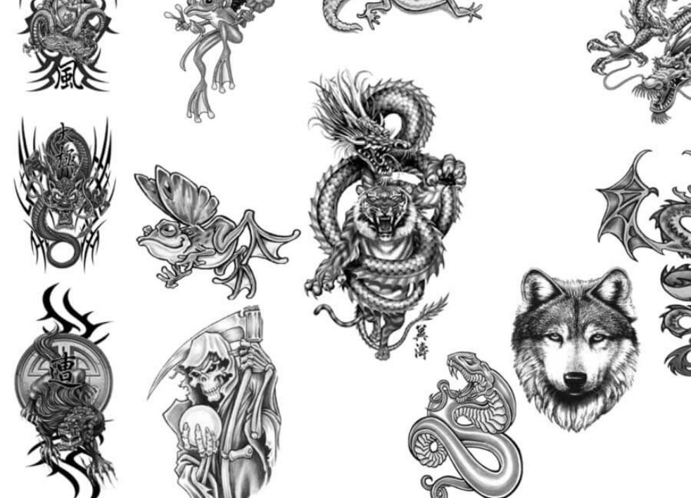 创意的龙纹和狼头刺青图案PS笔刷 - 多功能创意的龙纹和狼头刺青图案素材，适配各类设计项目-25虚拟网