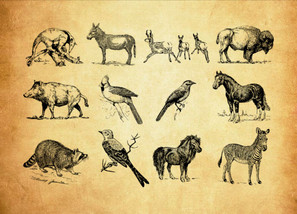 油墨油漆喷溅背景PS笔刷资源 - 精选油墨油漆喷溅背景元素，适用于其他类设计-25虚拟网