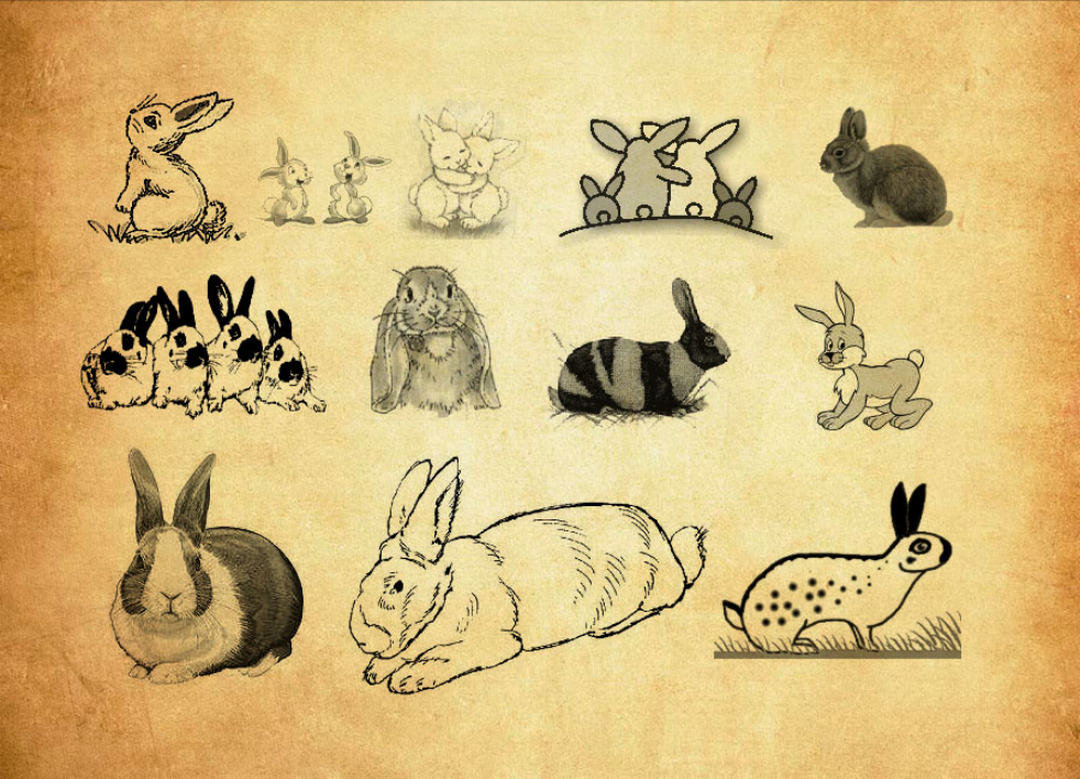 可爱兔子PS笔刷 - 生动可爱兔子元素，还原自然质感，提升设计真实感-25虚拟网