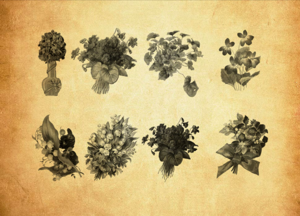 唯美盆景和花束PS笔刷资源 - 精选唯美盆景和花束元素，适用于其他类设计-25虚拟网