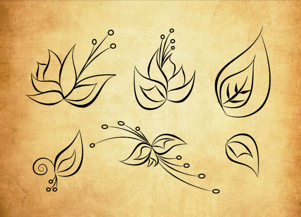 唯美线条花朵和绿叶PS笔刷资源 - 精选唯美线条花朵和绿叶元素，适用于线条分隔类设计-25虚拟网