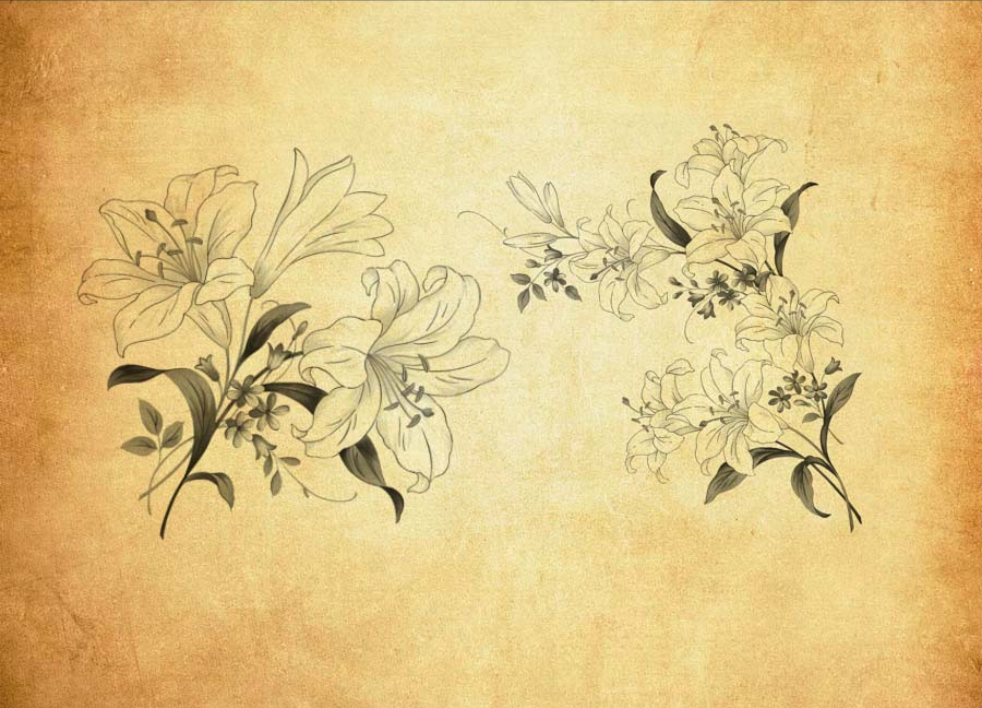 唯美花朵和花枝PS笔刷 - 多功能唯美花朵和花枝素材，适用于各类设计项目-25虚拟网