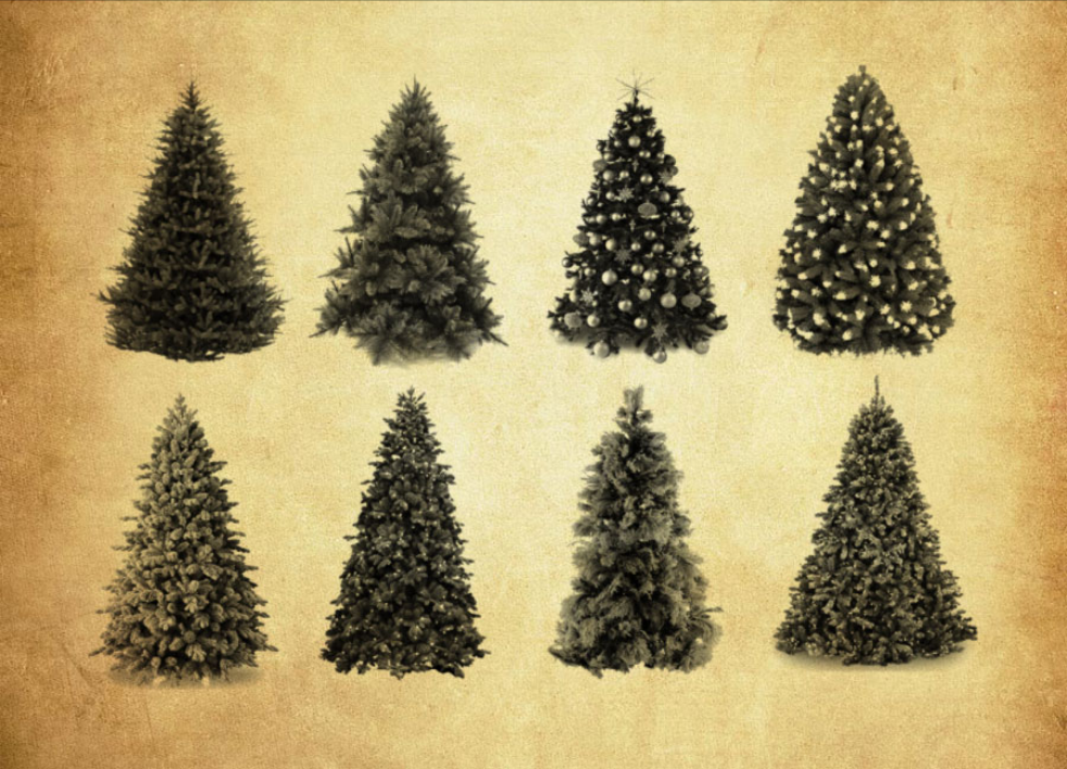 精选圣诞树和松树PS笔刷下载 - 提升圣诞树和松树设计效率，新手也能轻松上手-25虚拟网