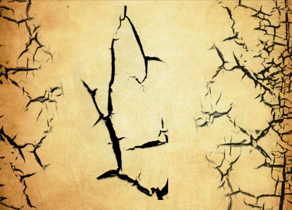 优质墙面裂痕和树纹效果PS笔刷下载 - 提升墙面裂痕和树纹效果设计效率,新手也能轻松上手-25虚拟网