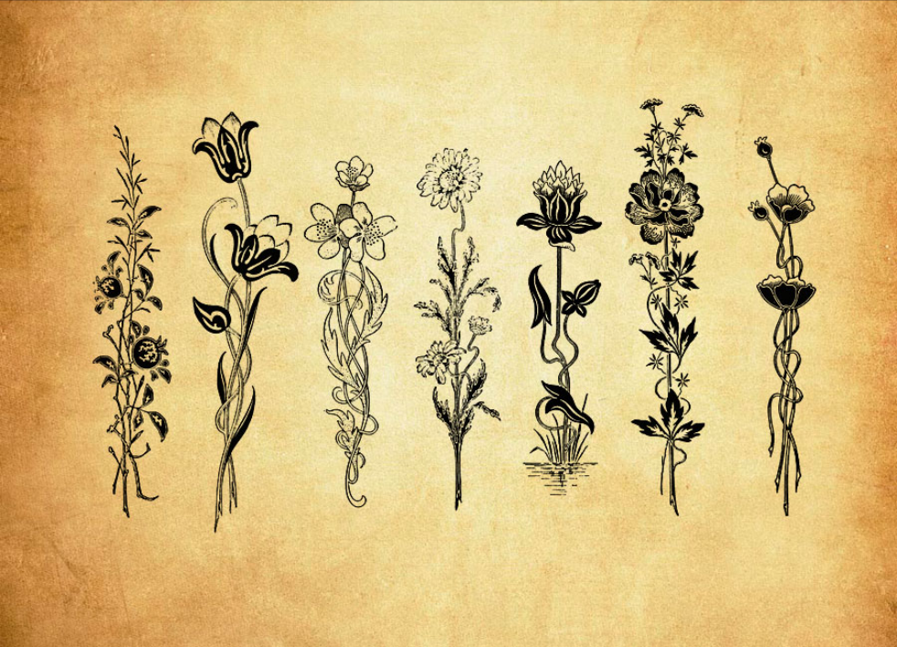 复古手绘花束PS笔刷资源 – 精选复古手绘花束元素，适配手绘类设计-25虚拟网