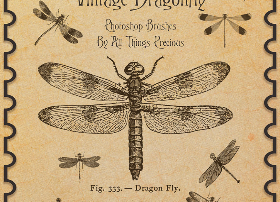 手绘蕾丝和藤蔓边框PS笔刷 - 优质手绘蕾丝和藤蔓边框设计素材，适配Photoshop各类创作场景-25虚拟网