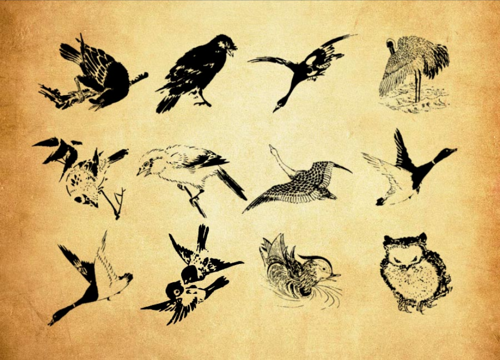 复古鸟类刻印画PS笔刷 - 优质复古鸟类刻印画设计素材，适配Photoshop各类创作场景-25虚拟网