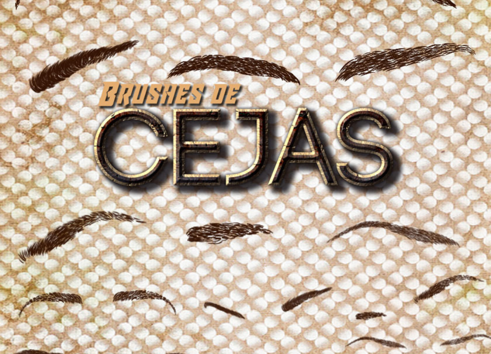 专业女性眉毛装饰PS笔刷 - 丰富女性眉毛装饰装饰样式,适用于海报、包装、UI设计-25虚拟网