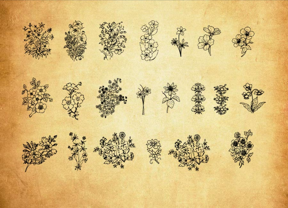 小花朵花枝装饰PS笔刷 - 专业小花朵花枝装饰设计素材，适配Photoshop各类创作场景-25虚拟网