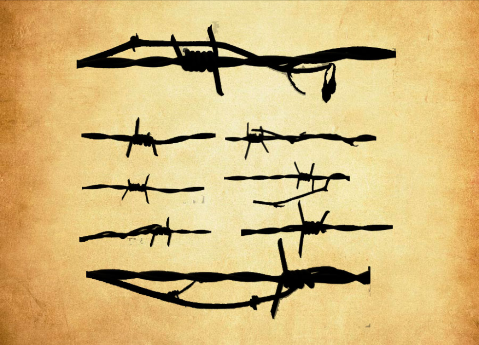 带刺的钢丝和铁栅栏PS笔刷 - 多功能带刺的钢丝和铁栅栏素材，适用于各类设计项目-25虚拟网