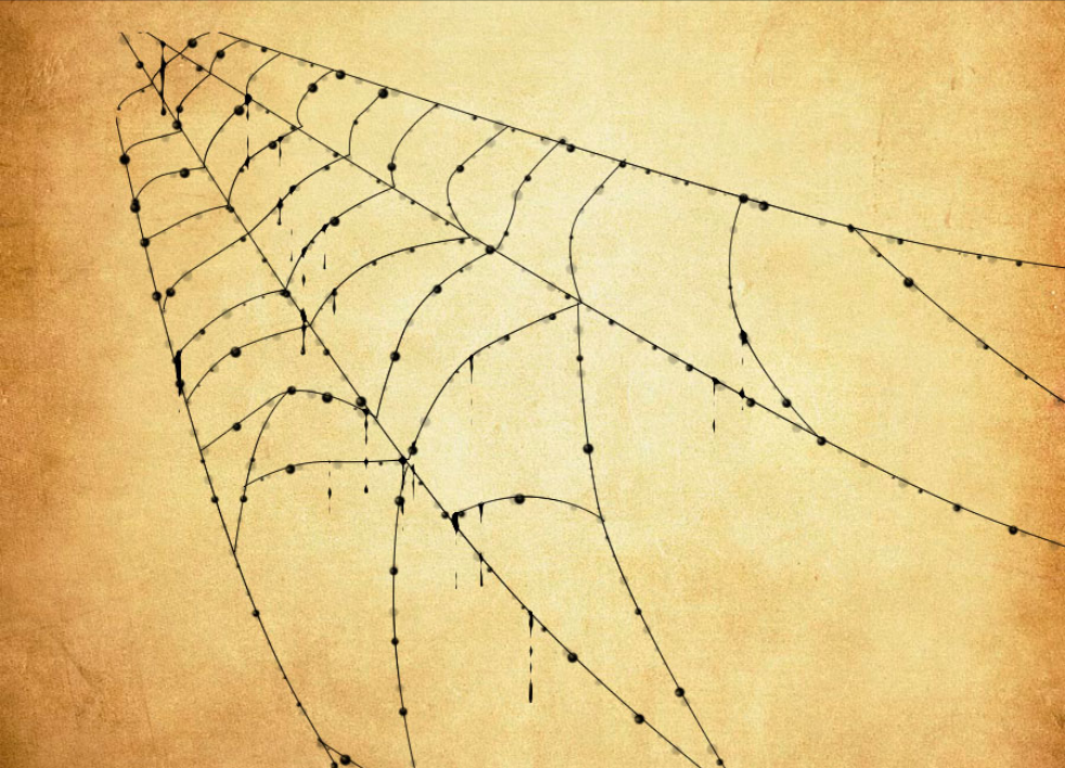 带露珠的蜘蛛网PS笔刷资源 - 精选带露珠的蜘蛛网元素，适用于其他类设计-25虚拟网