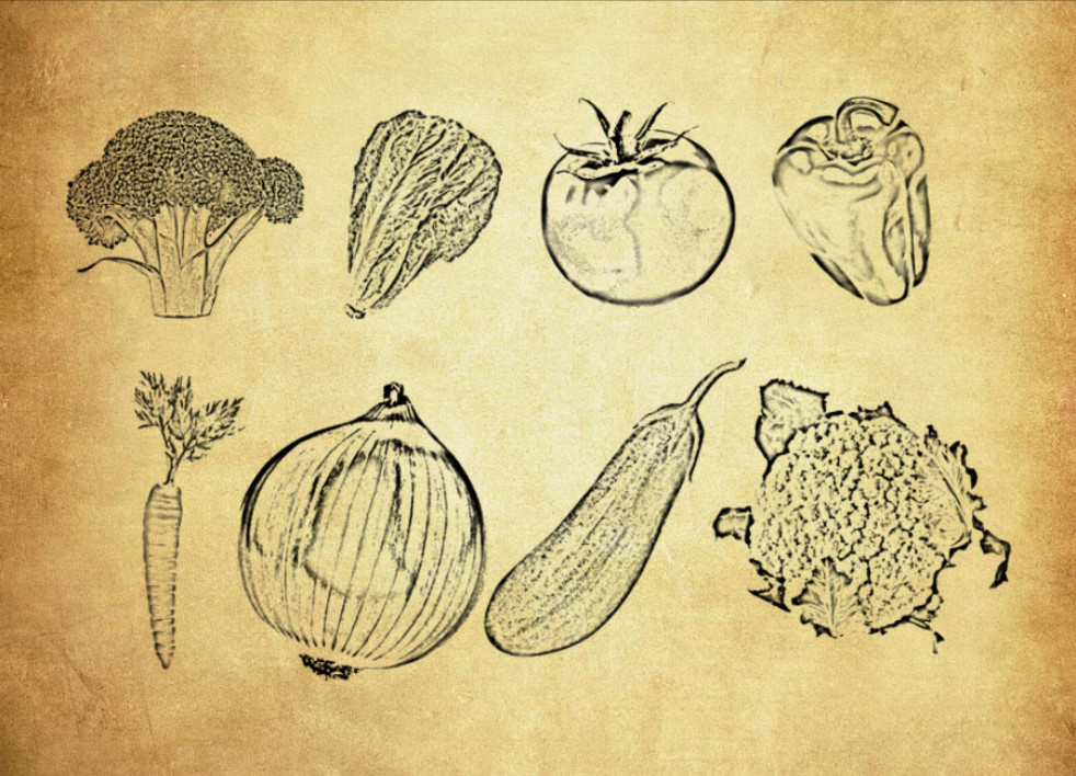 常见的手绘蔬菜PS笔刷资源 - 精选常见的手绘蔬菜元素，适用于手绘类设计-25虚拟网