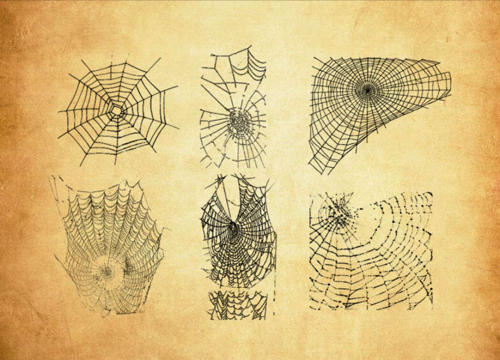 恐怖的蜘蛛网PS笔刷 - 高效恐怖的蜘蛛网设计工具，节省80%手动绘制时间-25虚拟网
