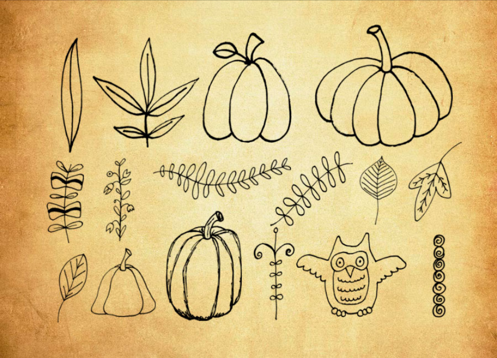 精选手绘南瓜和植物藤蔓PS笔刷 - 高品质手绘南瓜和植物藤蔓资源，提升设计专业度-25虚拟网