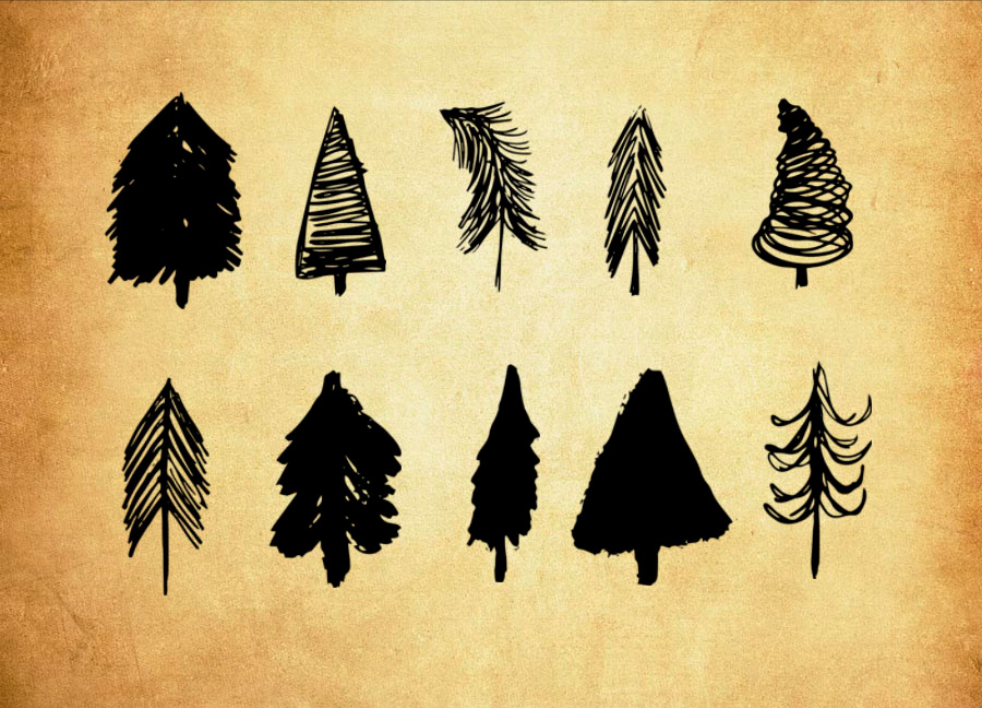 优质手绘涂鸦松树PS笔刷下载 - 提升手绘涂鸦松树设计效率,新手也能轻松上手-25虚拟网