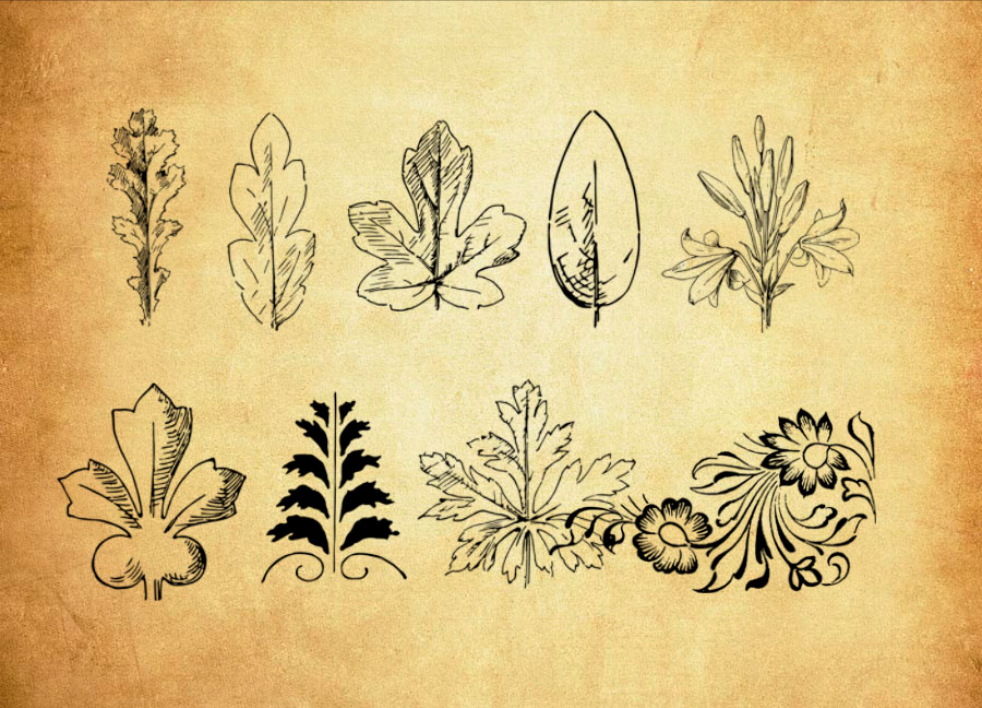 创意的动物组成的分割线PS笔刷 - 生动创意的动物组成的分割线元素，还原自然质感，提升设计真实感-25虚拟网