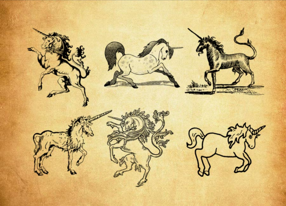 优质手绘的独角兽PS笔刷 - 包含高品质手绘的独角兽样式，兼容Photoshop全版本-25虚拟网