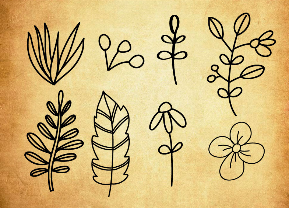 手绘简约风格树叶PS笔刷 - 专业手绘简约风格树叶设计素材，适配Photoshop各类创作场景-25虚拟网