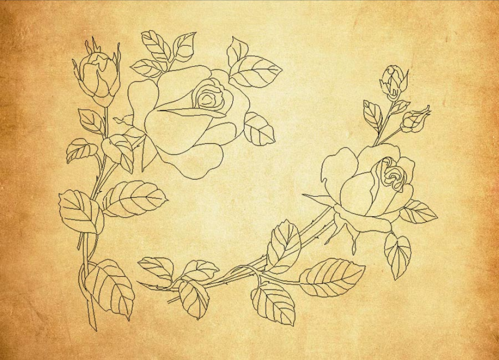 手绘线条玫瑰花束PS笔刷 - 多功能手绘线条玫瑰花束素材，适配各类设计项目-25虚拟网