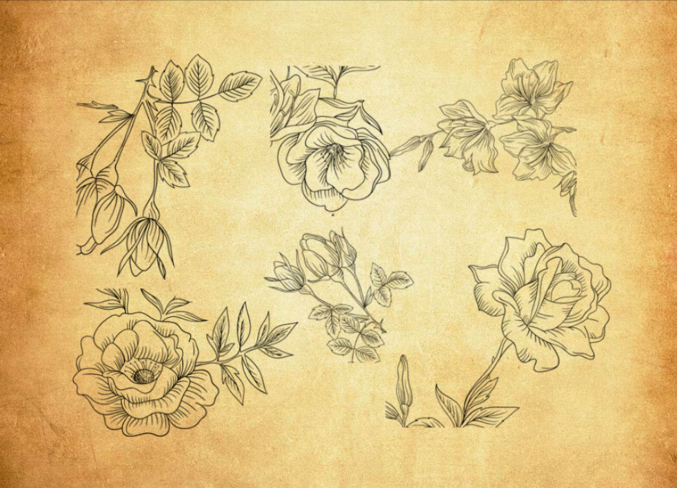 各种形状的齿轮PS笔刷 - 多功能各种形状的齿轮素材，适用于各类设计项目-25虚拟网