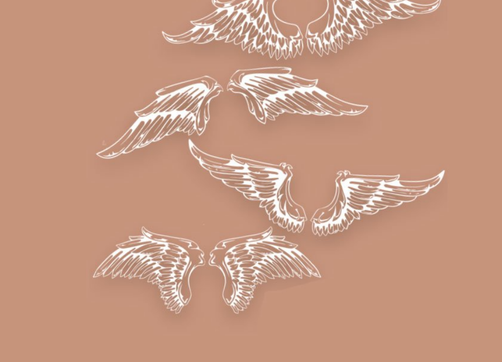 手绘翅膀PS笔刷 - 专业手绘翅膀设计素材,适配Photoshop各类创作场景-25虚拟网