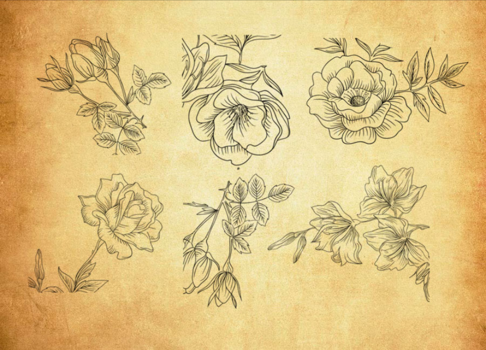 手绘花朵和花枝PS笔刷 - 多功能手绘花朵和花枝素材，适用于各类设计项目-25虚拟网