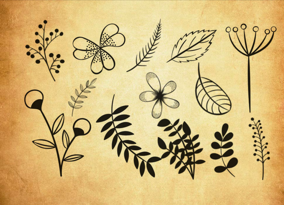 精选手绘花朵和藤蔓PS笔刷 – 高品质手绘花朵和藤蔓资源，提升设计专业度-25虚拟网