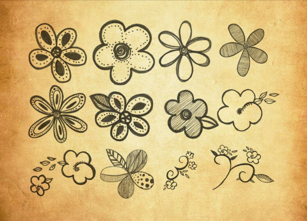 手绘花朵花枝装饰PS笔刷 - 专业手绘花朵花枝装饰设计素材,适配Photoshop各类创作场景-25虚拟网