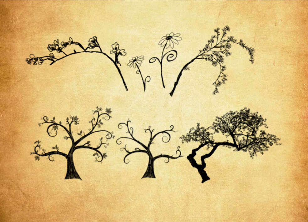 专业手绘花枝和时尚树木PS笔刷 – 包含高品质手绘花枝和时尚树木样式，兼容Photoshop全版本-25虚拟网