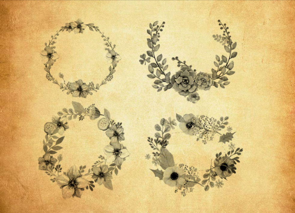 精选手绘花环和藤蔓PS笔刷 - 高品质手绘花环和藤蔓资源，提升设计专业度-25虚拟网