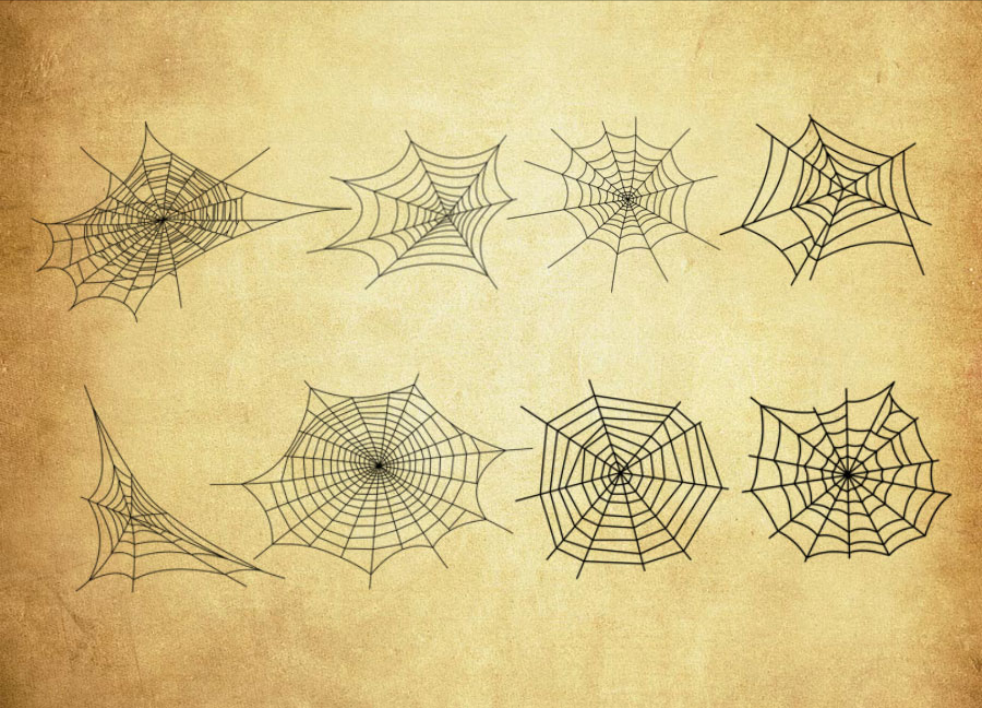精选手绘蜘蛛网笔刷 - 高品质手绘蜘蛛网笔刷资源，提升设计优质度-25虚拟网